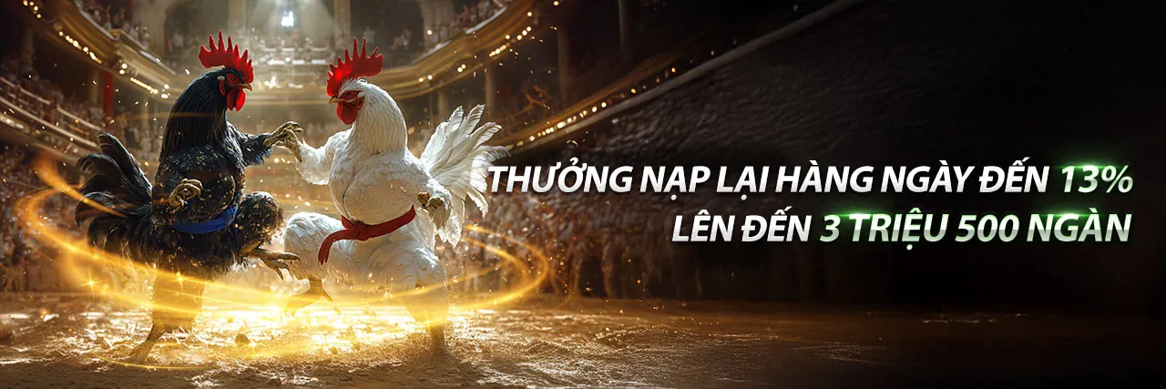 Đá Gà Trực Tuyến J88VIP